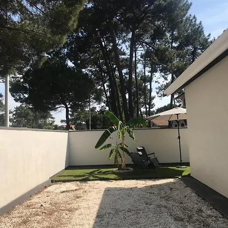 Studio Independant Sur Propriete Avec Piscine Partagee Prázdninový dům Biscarrosse