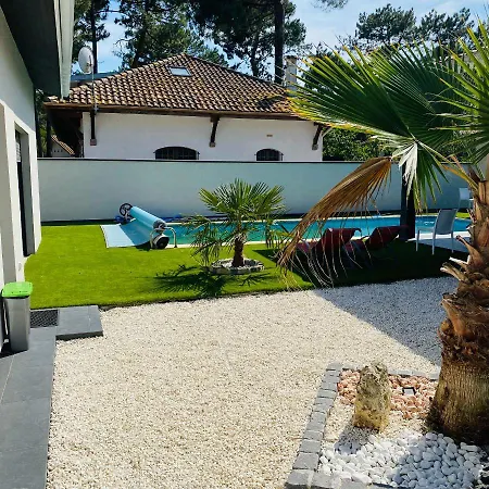 Studio Independant Sur Propriete Avec Piscine Partagee 別荘 ビスカロッス